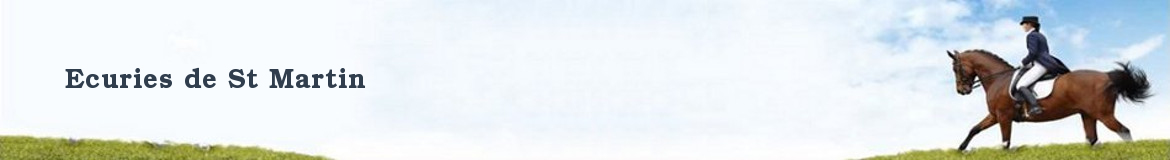 Ecuries de St Martin